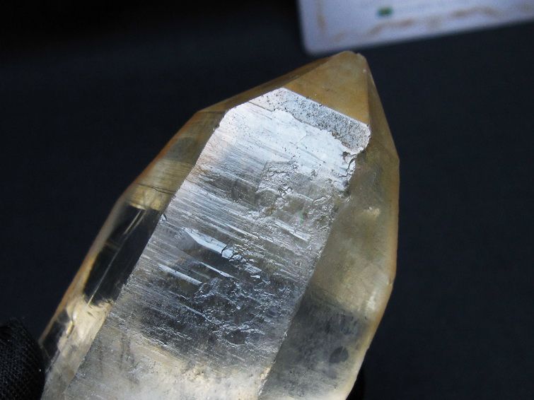 レムリアンシード シトリンクォーツ 原石 ブラジル ミナスジェライス州 コリント産 一点物 171-7252