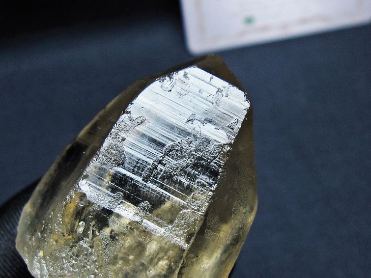 レムリアンシード スモーキークォーツ 原石 ブラジル ミナスジェライス州 コリント産 一点物 171-7379
