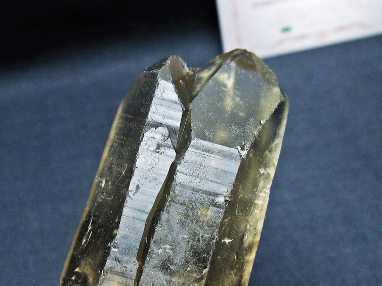 レムリアンシード スモーキークォーツ 原石 ブラジル ミナスジェライス州 コリント産 一点物 171-7417