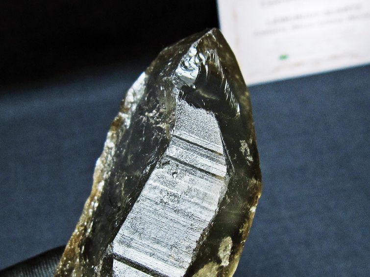 レムリアンシード スモーキークォーツ 原石 ブラジル ミナスジェライス州 コリント産 一点物 171-7418