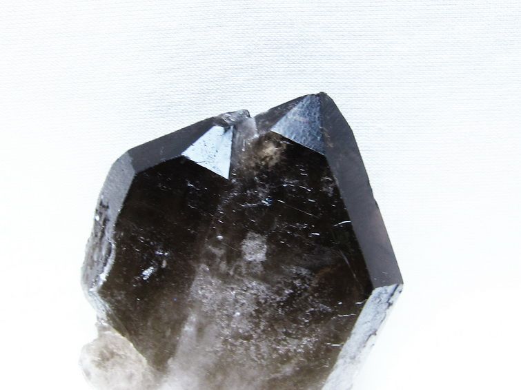 モリオン 原石 ブラジル産 黒水晶 一点物 171-9530