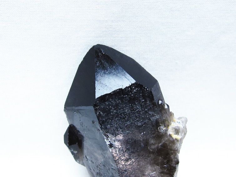 モリオン 原石 ブラジル産 黒水晶 一点物 171-9533