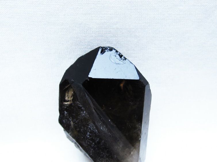 モリオン 原石 ブラジル産 黒水晶 一点物 171-9572