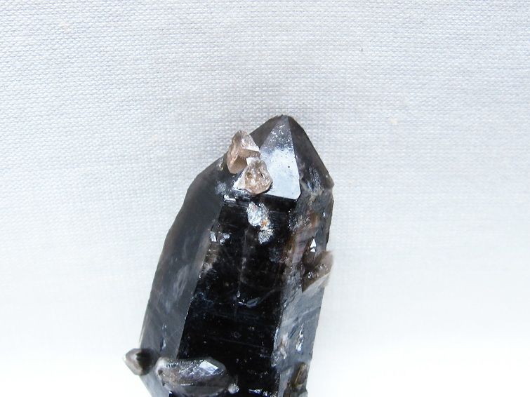 モリオン 原石 山東省産 黒水晶 原石 一点物 171-9909