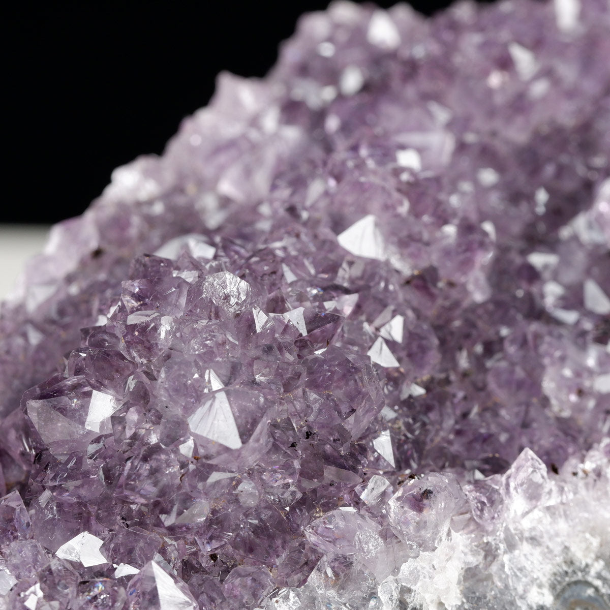 アメジスト クラスター ウルグアイ産 アメジスト 原石 置物 amethyst アメシスト 台座付属 花型 一点物 182-6230