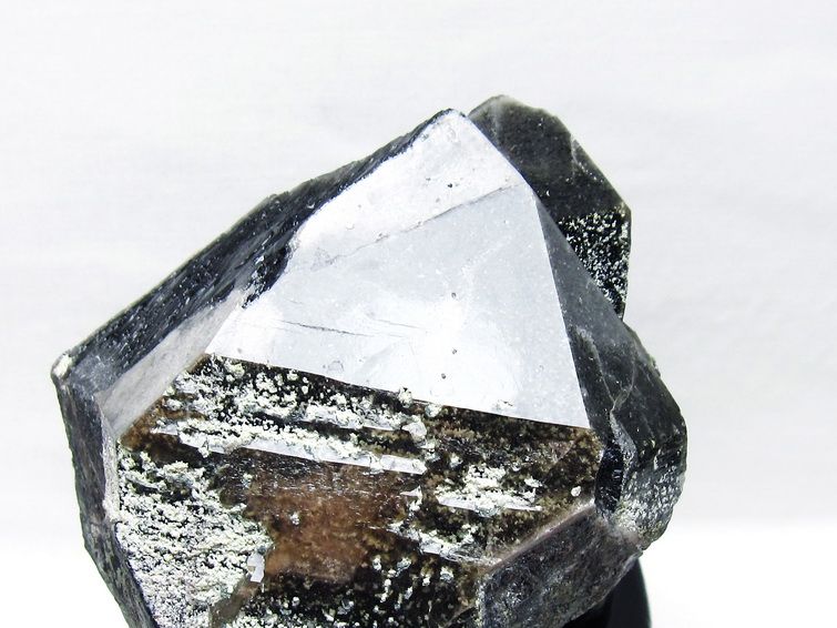 2.4Kg 黒水晶 モリオン 原石 山東省産 台座付属 一点物 191-512