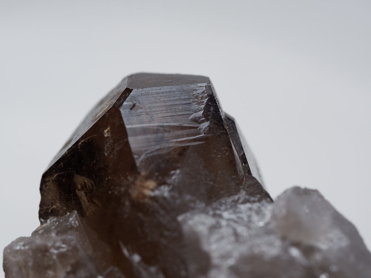 スモーキークォーツ クラスター ブラジル産 モリオン 黒水晶 原石 一点物 272-296