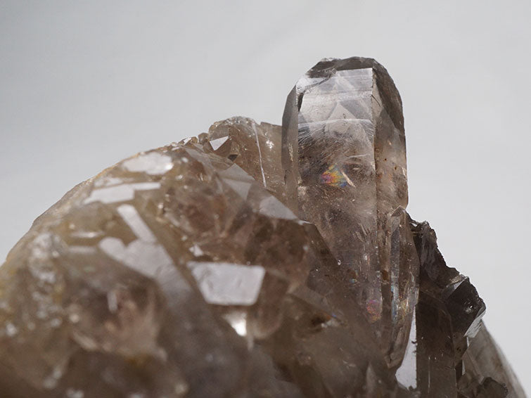 スモーキークォーツ クラスター 煙水晶 原石 モリオン 黒水晶 ブラジル産 一点物 282-519