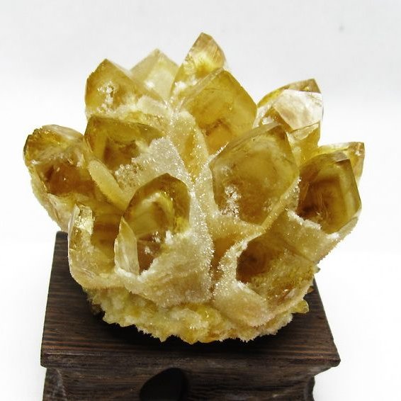 特価　シトリンクラスター① シトリン クラスター シトリンクォーツ 原石 台座付属 一点物 182-8467