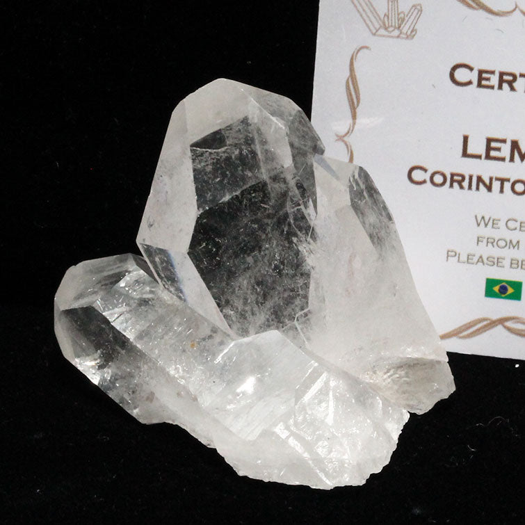 レムリアンシード 水晶 クラスター ブラジル ミナスジェライス州 コリント産 証明書付属 一点物 272-180