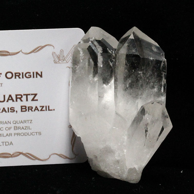レムリアンシード 水晶 クラスター ブラジル ミナスジェライス州 コリント産 証明書付属 一点物 272-187