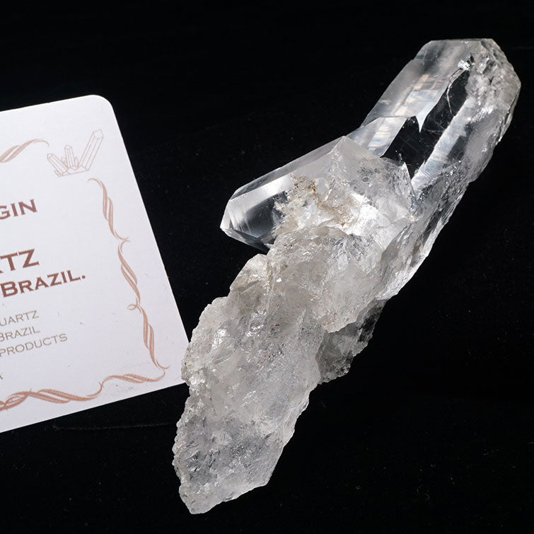 レムリアンシード 水晶 クラスター ブラジル ミナスジェライス州 コリント産 証明書付属 一点物 272-192