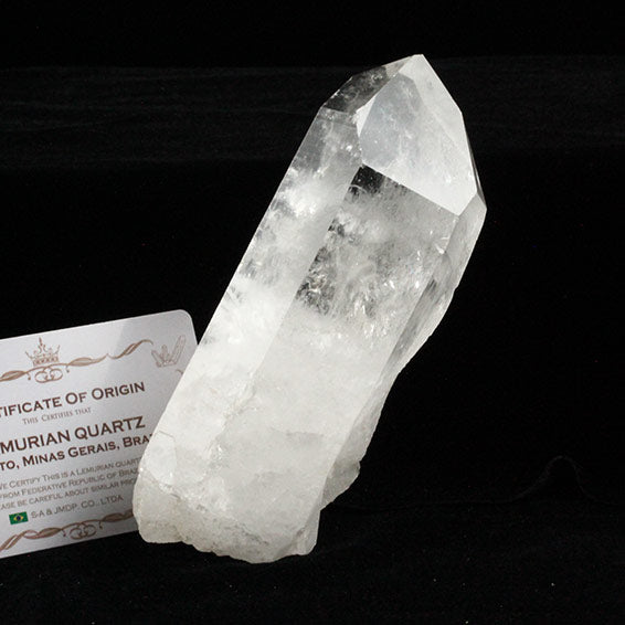 レムリアンシードミナスジェライス洲