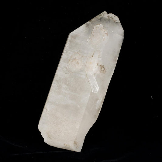 レムリアンシード 水晶 原石 ブラジル ミナスジェライス州 コリント産 証明書付属 一点物 281-305