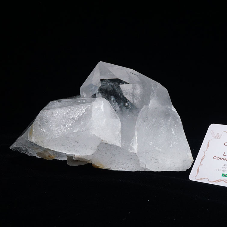 1.2Kg レムリアンシード 水晶 クラスター ブラジル ミナスジェライス州 コリント産 証明書付属 一点物 282-323
