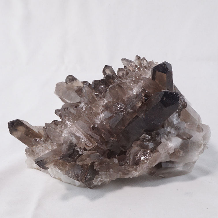 スモーキークォーツ クラスター モリオン 黒水晶 原石 ブラジル産 一点物 282-371