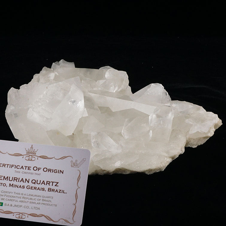 1.4Kg レムリアンシード 水晶 クラスター 原石 ガーデンクォーツ ブラジル ミナスジェライス州 コリント産 証明書付属 一点物 282-399