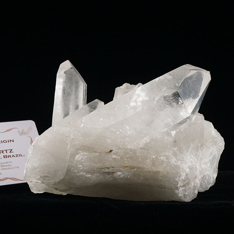 レムリアンシード 水晶 クラスター 原石 ブラジル ミナスジェライス州 コリント産 証明書付属 一点物 282-404