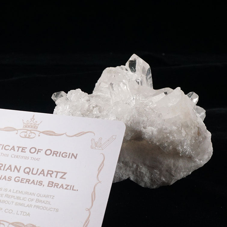 レムリアンシード 水晶 クラスター 原石 ブラジル ミナスジェライス州 コリント産 証明書付属 一点物 282-431