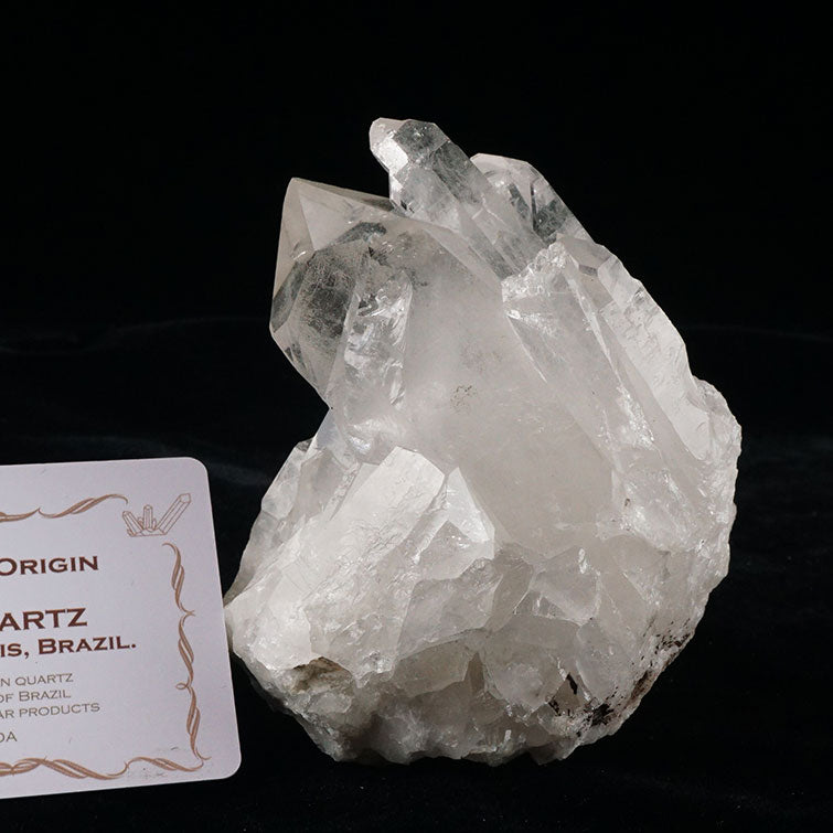 レムリアンシード 水晶 クラスター 原石 ブラジル ミナスジェライス州 コリント産 証明書付属 一点物 282-435