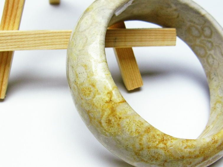 珊瑚 フォッシルコーラル バングル 一点物 111-1382