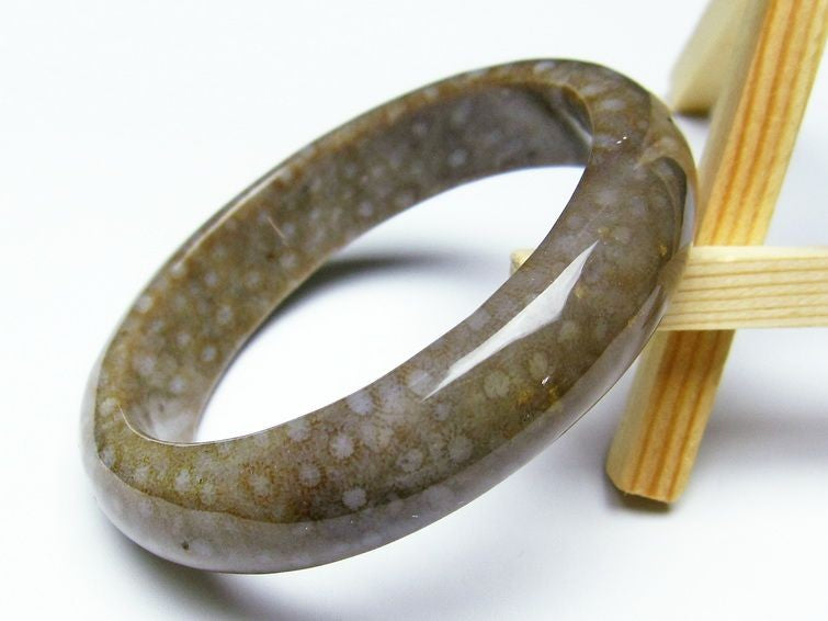 珊瑚 フォッシルコーラル バングル 一点物 111-1388