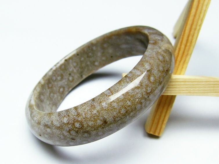 珊瑚 フォッシルコーラル バングル 一点物 111-1392