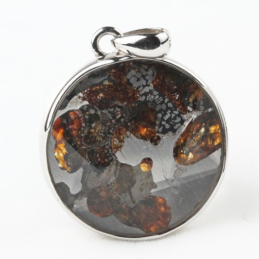 パラサイト隕石 ペンダント パワーストーン ペンダントトップ Pallasite Meteorite メンズ レディース アクセサリー 大衛星 一点物  112-8953