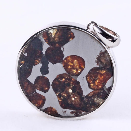 パラサイト隕石 ペンダント パワーストーン ペンダントトップ Pallasite Meteorite メンズ レディース アクセサリー 一点物  112-9257
