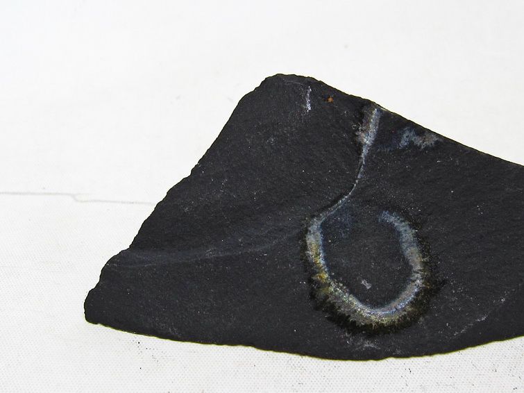 ブラックシリカ 原石 一点物 171-10555