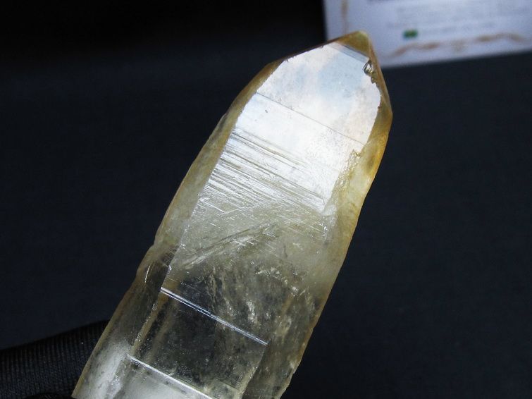 レムリアンシード シトリンクォーツ 原石 ブラジル ミナスジェライス州 コリント産 一点物 171-7242