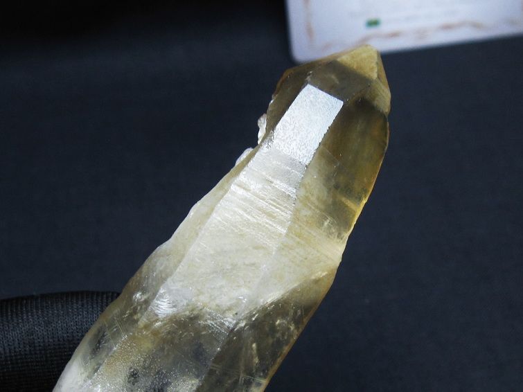 レムリアンシード シトリンクォーツ 原石 ブラジル ミナスジェライス州 コリント産 一点物 171-7242