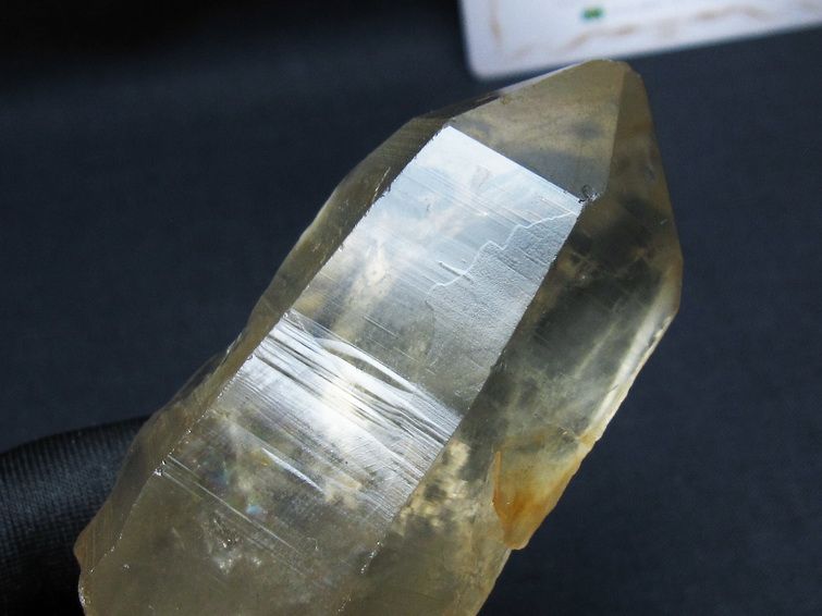 レムリアンシード シトリンクォーツ 原石 ブラジル ミナスジェライス州 コリント産 一点物 171-7244