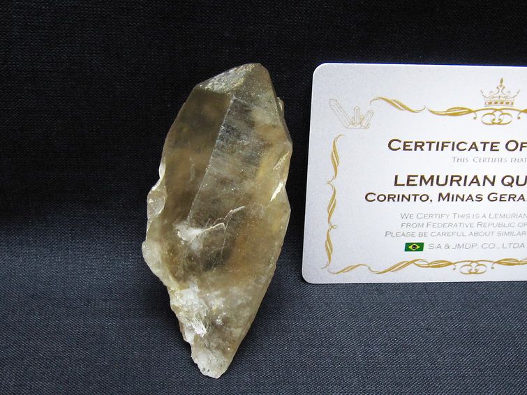 レムリアンシード シトリンクォーツ 原石 ブラジル ミナスジェライス州 コリント産 一点物 171-7260