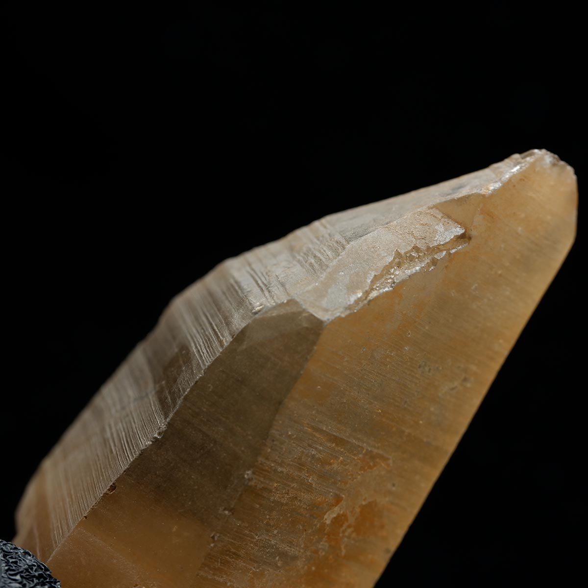 レムリアンシード シトリンクォーツ 原石 ブラジル ミナスジェライス州 コリント産 一点物 171-7275