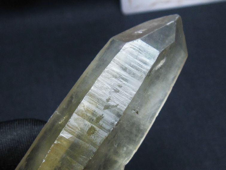 レムリアンシード シトリンクォーツ 原石 ブラジル ミナスジェライス州 コリント産 一点物 171-7289