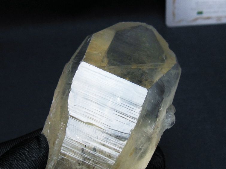 レムリアンシード シトリンクォーツ 原石 ブラジル ミナスジェライス州 コリント産 一点物 171-7293
