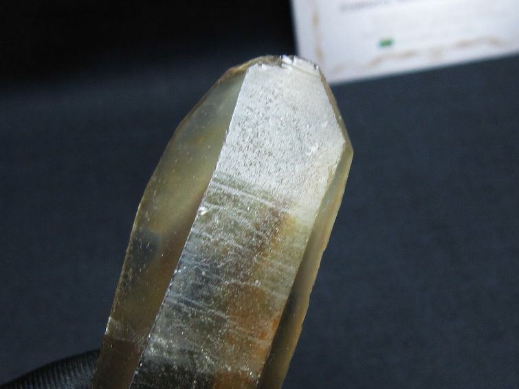 レムリアンシード シトリンクォーツ 原石 ブラジル ミナスジェライス州 コリント産 一点物 171-7301