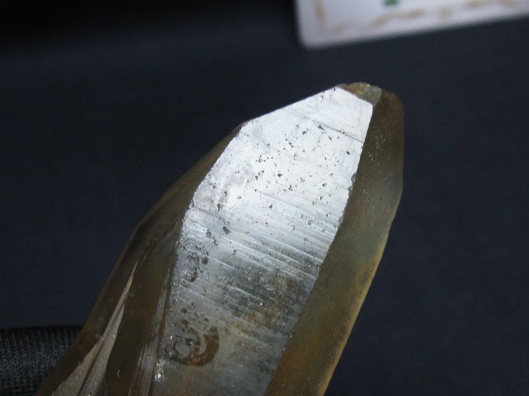 レムリアンシード シトリンクォーツ 原石 ブラジル ミナスジェライス州 コリント産 一点物 171-7301
