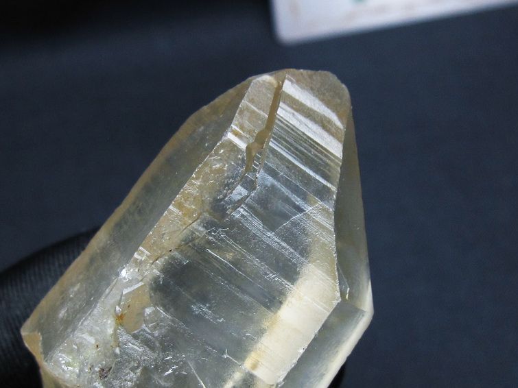 レムリアンシード シトリンクォーツ 原石 ブラジル ミナスジェライス州 コリント産 一点物 171-7329