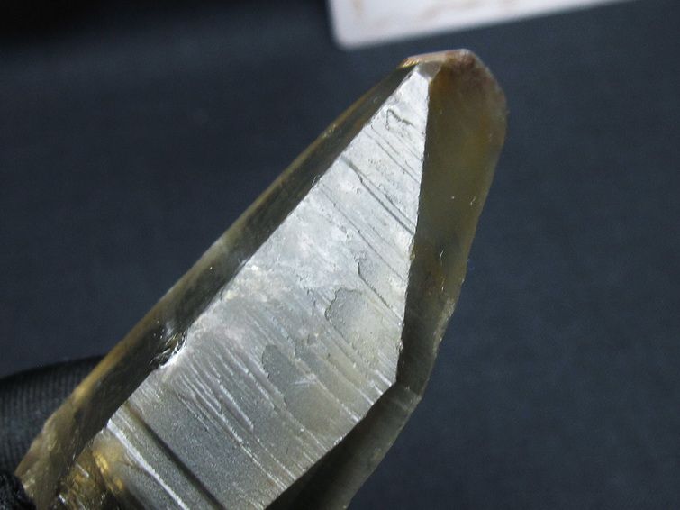 レムリアンシード シトリンクォーツ 原石 ブラジル ミナスジェライス州 コリント産 一点物 171-7335