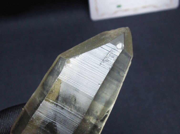 レムリアンシード シトリンクォーツ 原石 ブラジル ミナスジェライス州 コリント産 一点物 171-7340