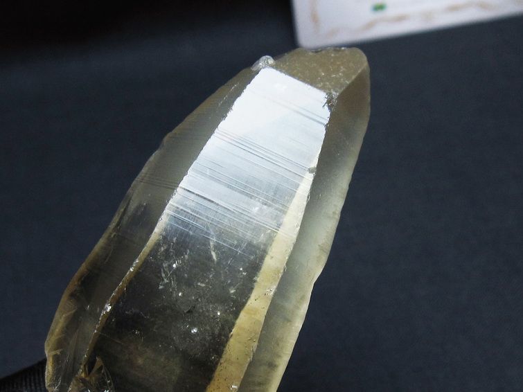 レムリアンシード シトリンクォーツ 原石 ブラジル ミナスジェライス州 コリント産 一点物 171-7340