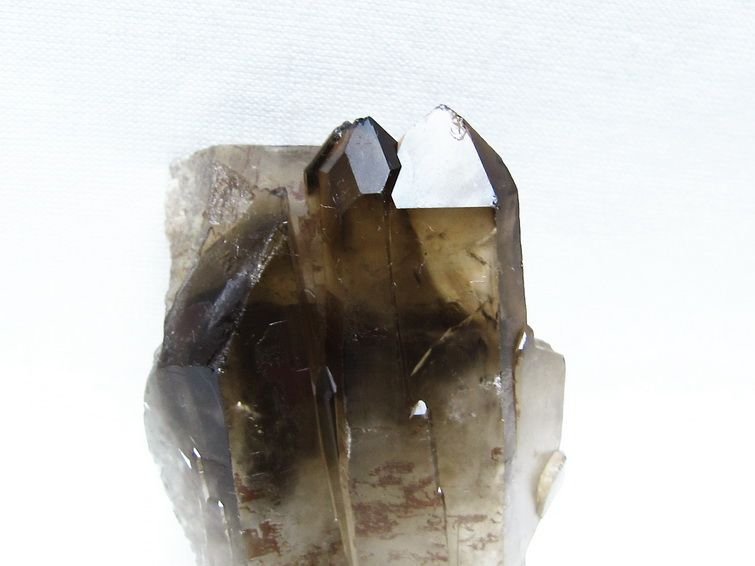 モリオン 原石 ブラジル産 黒水晶 一点物 171-9374
