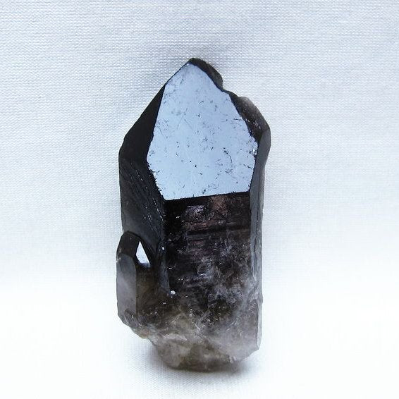 モリオン 原石 ブラジル産 黒水晶 一点物 171-9445