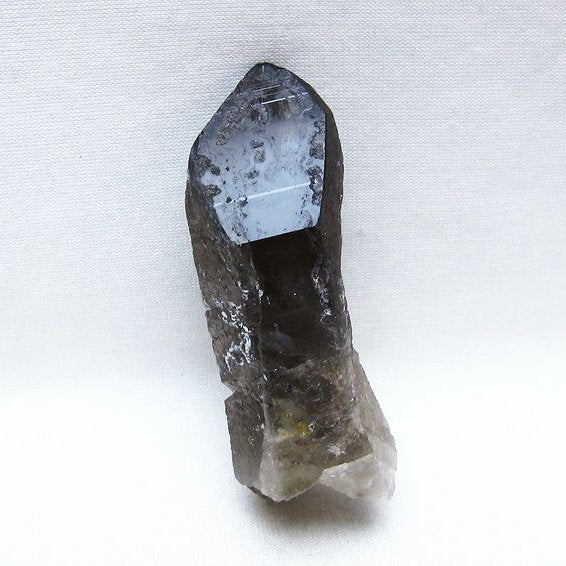 モリオン 原石 ブラジル産 黒水晶 一点物 171-9489