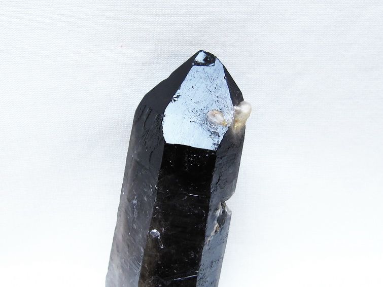 モリオン 原石 ブラジル産 黒水晶 一点物 171-9495
