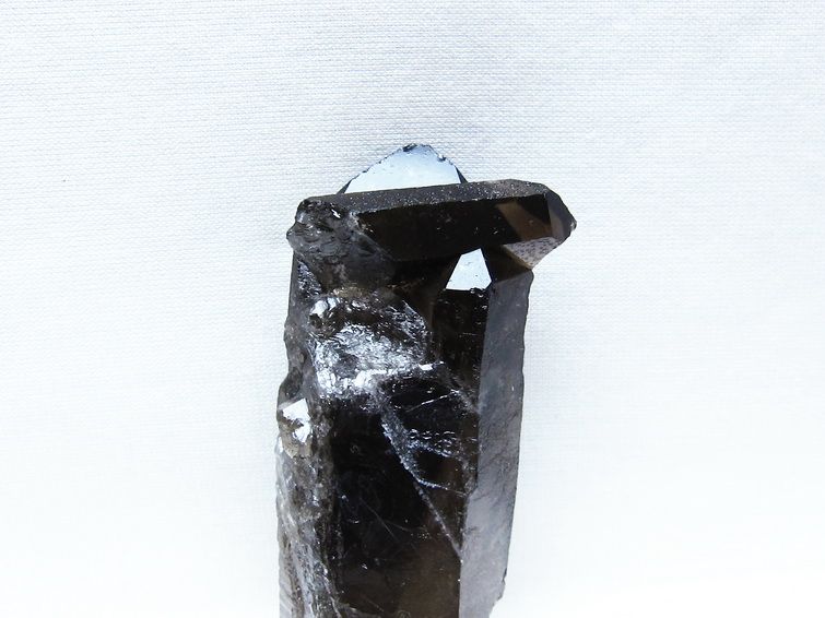 モリオン 原石 ブラジル産 黒水晶 一点物 171-9505
