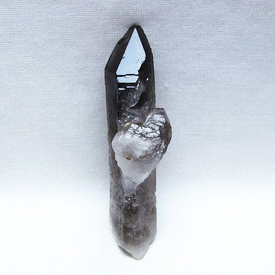 モリオン 原石 ブラジル産 黒水晶 一点物 171-9518