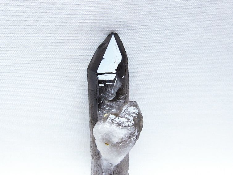 モリオン 原石 ブラジル産 黒水晶 一点物 171-9518